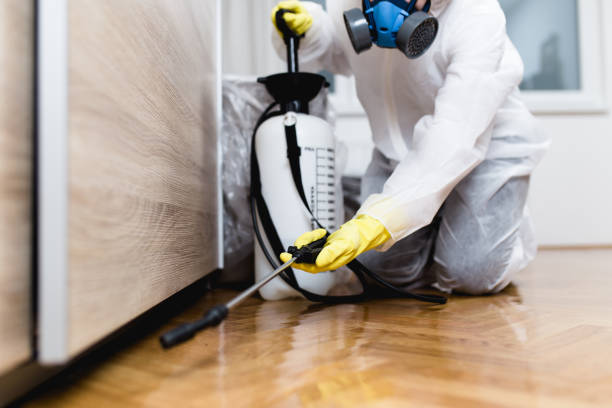 Best Bed Bug Extermination  in Grover Beach, CA