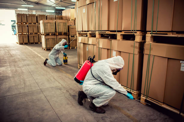 Best Pest Control Near Me in Grover Beach, CA