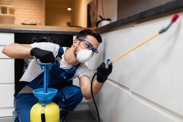 Best Commercial Pest Control Services  in Grover Beach, CA