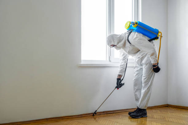 Best Wildlife Control Services  in Grover Beach, CA
