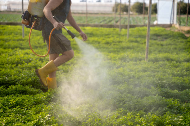 Best Best Pest Control Near Me  in Grover Beach, CA