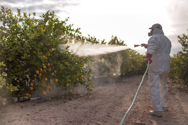 Grover Beach, CA Pest Control Company