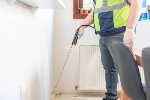 Best Ant Control Services  in Grover Beach, CA