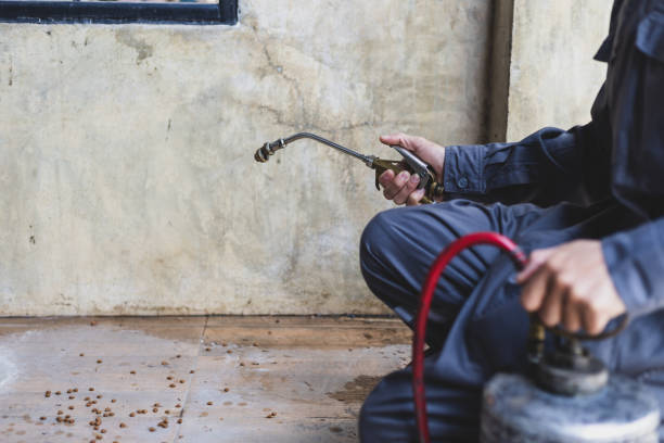 Best Pest Inspection Near Me  in Grover Beach, CA